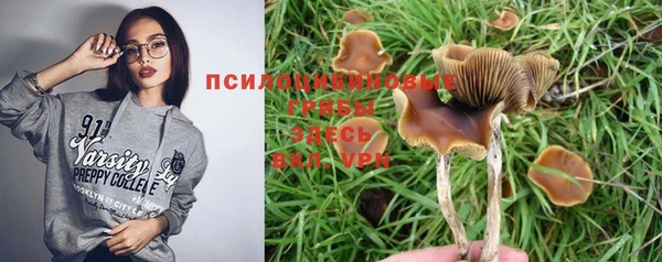 твердый Киреевск