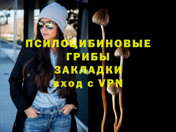 твердый Киреевск