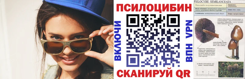 Купить закладки  Лениногорск  Псилоцибиновые грибы прущие грибы 