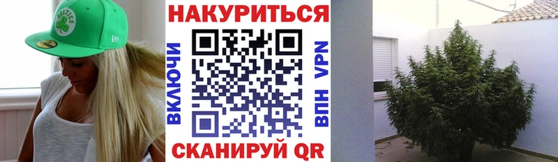 Бошки Шишки White Widow  Купить закладки  Лениногорск 